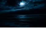 Calming Views-