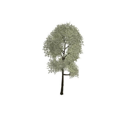 PBR Moving Tree