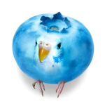 The Tweety birb