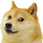 The Unofficial Doge Group