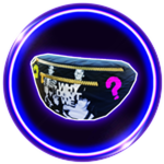 WDW Fanny Pack - Why Don’t We (WDW)