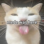 dqt