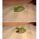 ~LaLALALALallaLAl~