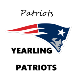 Yearling Patriots Middle School
