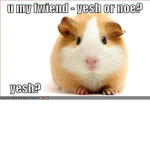 fwiends?