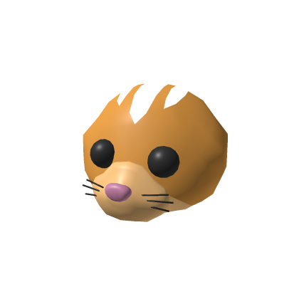 Head