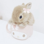 /floruit/