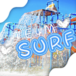 TE4M SURF