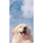 Pup-Tastic!