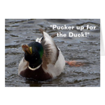 -The duck family -
