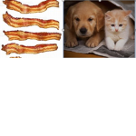 The Bacons State
