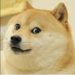Doge Builder's Club