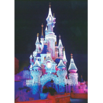 -~ Disney's Fans ~-