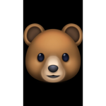 teddybearXsheren group