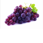 The grapes guild