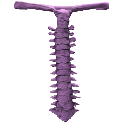 PInk Skeleton Tie