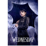 Wednesday_cast