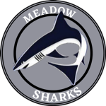 Meadows Bloxburg School!!