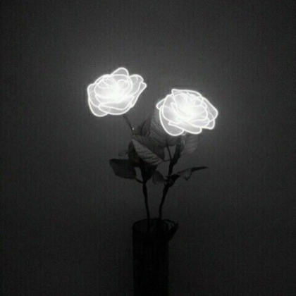 Aesthetic Roses Black & White Roblox decal