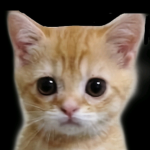 ElGato club