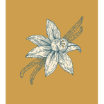 Vanilla_Group!