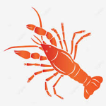 Shelly Lobster Clothing