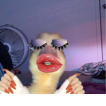 Support the awesome ducks!!! <3