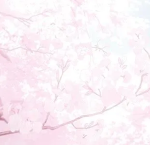 SRA ひ