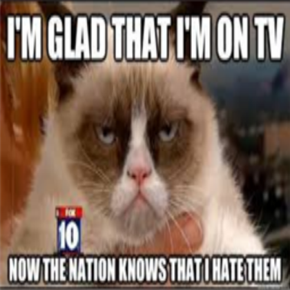 Grumpy cat Roblox decal