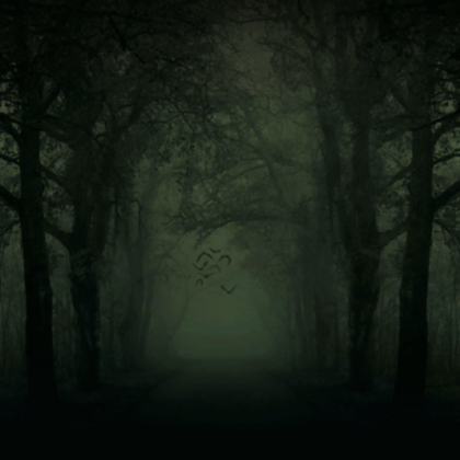 Undead forest road