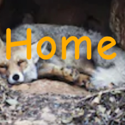 Home