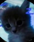 Xczlogan’s fan group