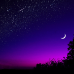 midnightclaw
