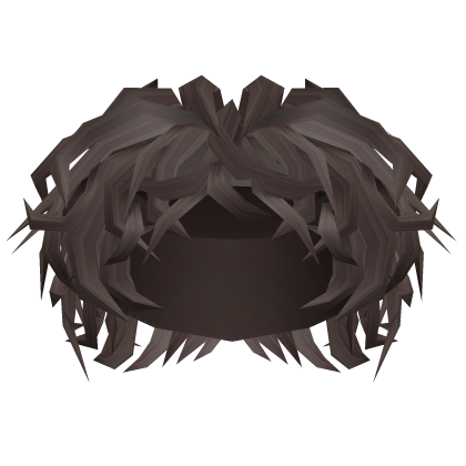 Curly Brown Fluffy Hair Roblox item