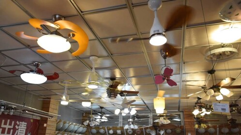 Ceiling fans (Display)