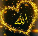 The Official Islamic Group Group Thumbnail