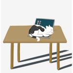 Lazy Cat League