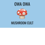 OWA OWA MUSHROOM CULT