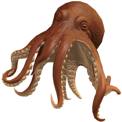 Octopus On Head