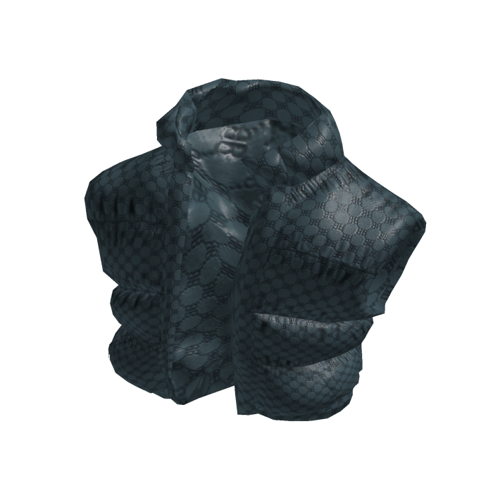 Blue Vest