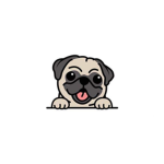 The pugs are awesome