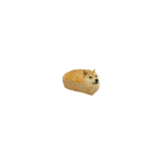 Fãs quimpldb Nick