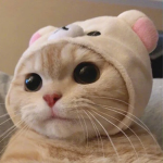Cute Fun Games
