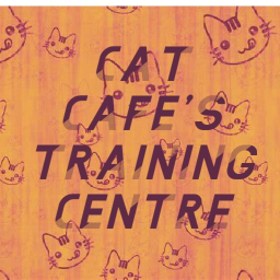 Cat Cafe Training Center