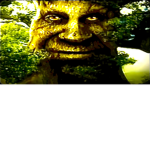 ғɪᴏᴏɴᴀᴀ10's ᴄʟᴏᴛʜɪɴɢ ɢʀᴏᴜᴘ