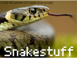 Snakestuff