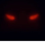 This unknown user