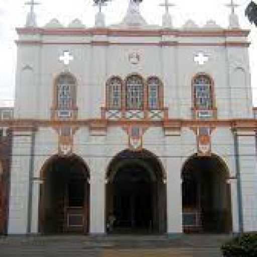 Church of St. John the Baptist Parish, Bago City 