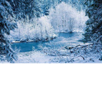 Snow :)