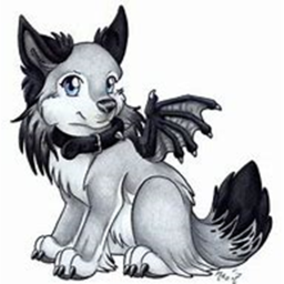 the night wolf obby
